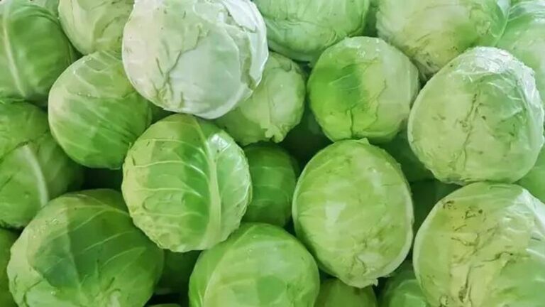 Lahana ve ıspanak yiyenler dikkat!