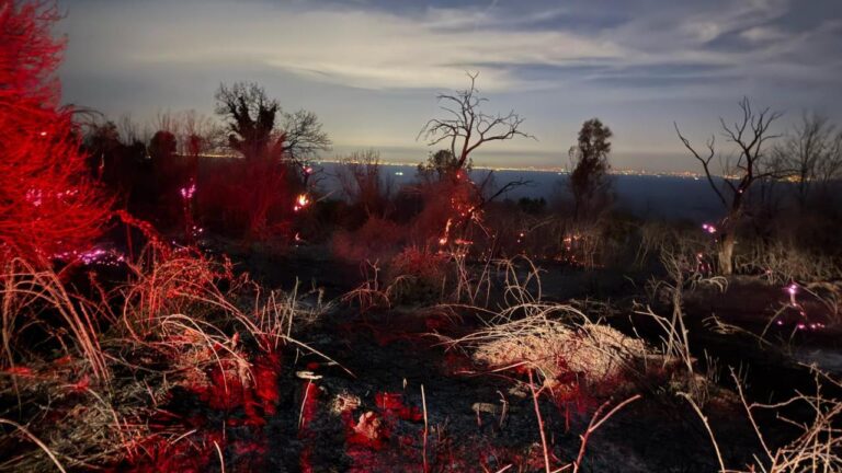 Yalova’nın ormanlık bölgesindeki yangın kontrol altına alındı