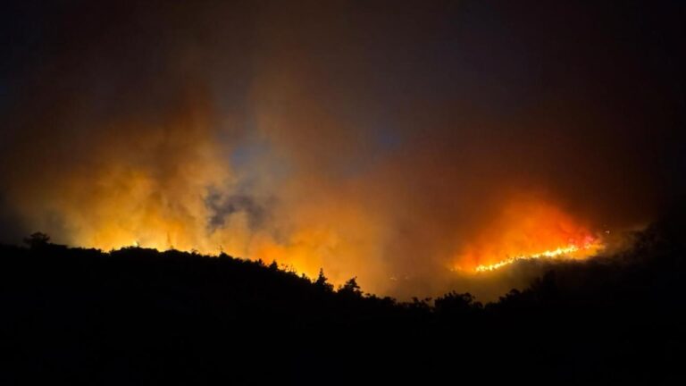 Baliekesir'de Orman Ateşi: Mahalle Tedbiri Tahliye edildi