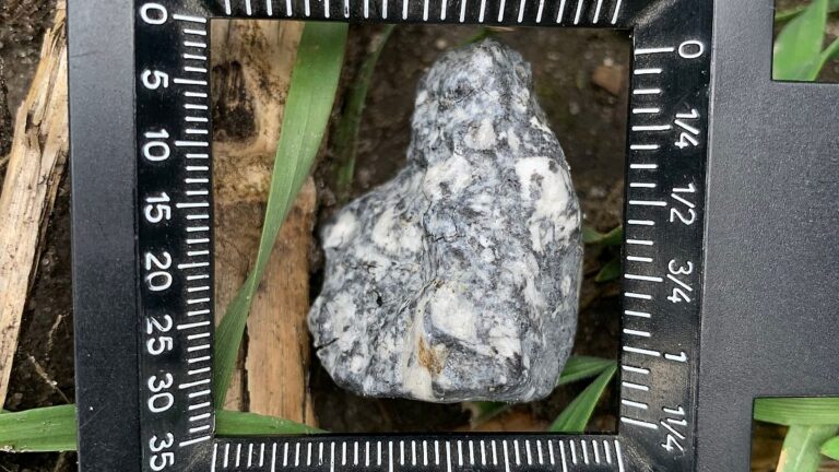 Berlin yakınlarına düşen ‘nadir asteroit parçaları’ bulundu