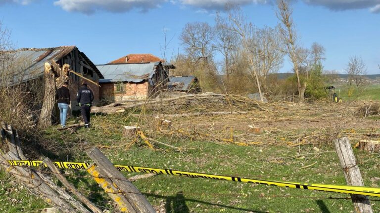 Karabük’te kestiği ağacın altında kalan kişi öldü