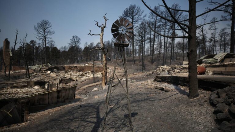 ABD’deki orman yangınlarının söndürülmesi için umutlar beklenen yağmurda