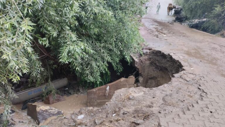 Kars’ta etkili olan sel 6 köyde hasara yol açtı