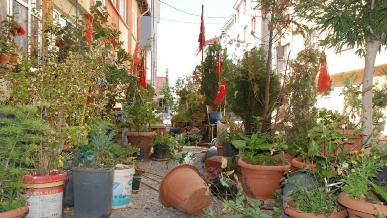 Eskişehir’de emekli esnafın felçli eşi için evinin önüne yaptığı çiçekli alan tahrip edildi