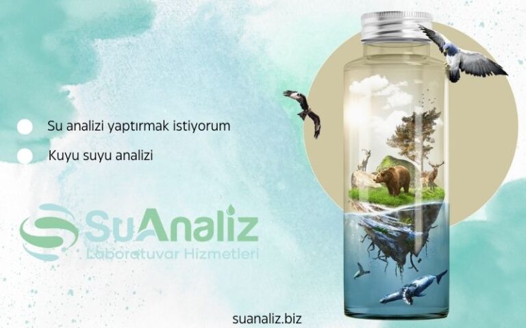 Su Analizi Yaptırmak İstiyorum: Neden ve Ne Zaman Yaptırmalıyım?