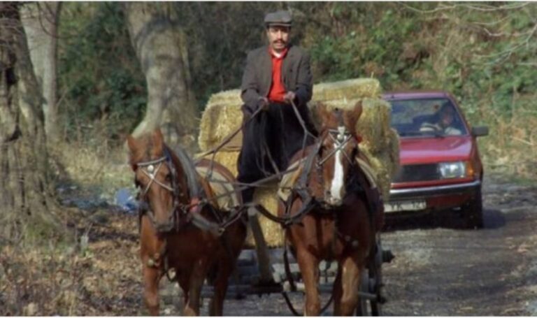 Aktörler kim? Toplumun filmi ne zaman şabanın filmi? – Son dakika televizyon rehberindeki haberler