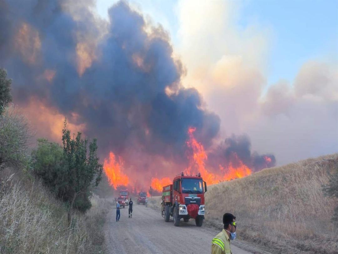 Tekirdağ'da orman yangını! Alevler tarafından tehdit edilen bir mahalle boşaltıldı 1