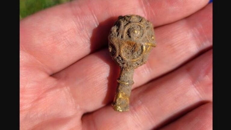 Arkeoloji öğrencisi ilk kazısı sırasında 1200 altın yıl buldu