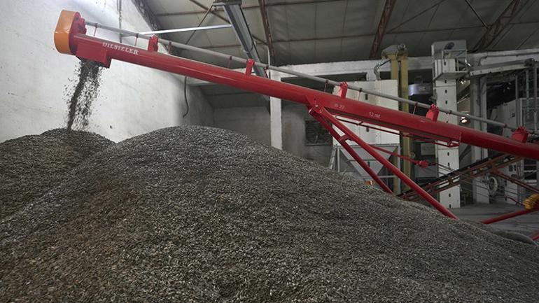 Devletin desteğiyle kuruldu ve ihracat şampiyonası oldu